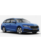 IV. (01.2020 - 07.2023)